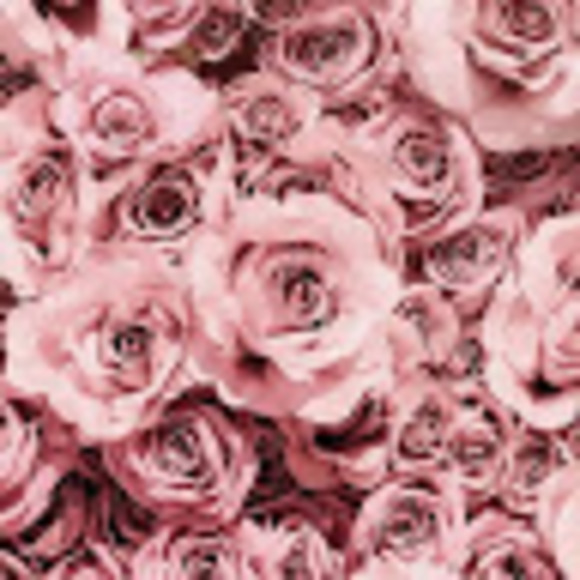 jill_arland